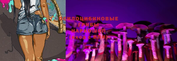 спиды Арсеньев