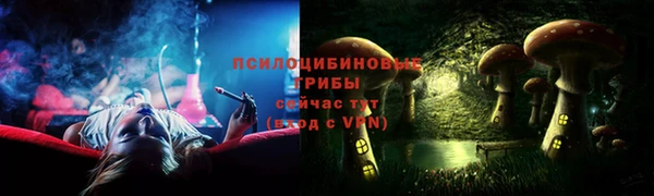 спиды Арсеньев